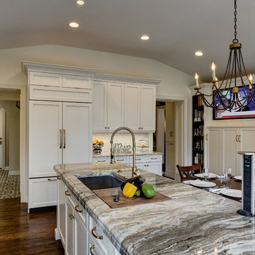 Gorgeous Home Renovation in River Forest