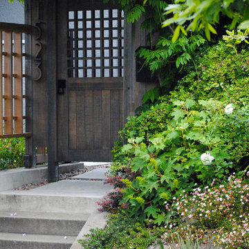 Berkeley Urban Patio Front Yard
