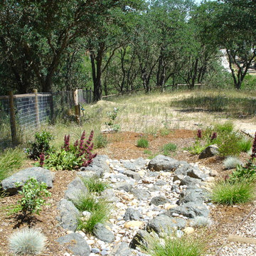 Natural Drainage