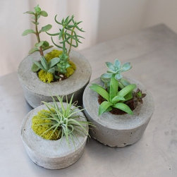 Handmade Concrete Planters - Indoor Pots And Planters
