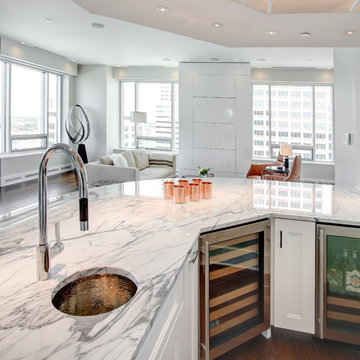 Contemporary Remodel of an Indianapolis Condominium by Ferguson of Carmel IN