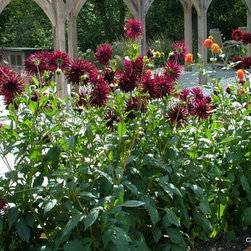 Planting schemes - Garden Products