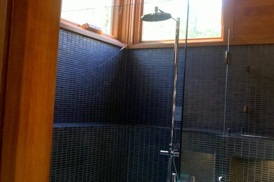 Inspiration for a mid-sized timeless master blue tile and ceramic tile alcove shower remodel in Milwaukee