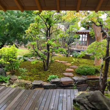 大きな日本庭園