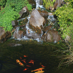 Koi Ponds - Outdoor Fountains And Ponds