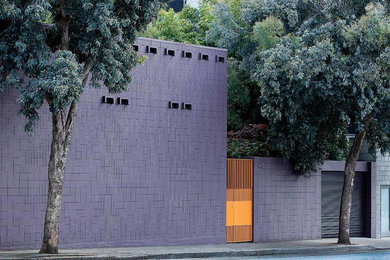 SOMA COURTYARD HOUSE