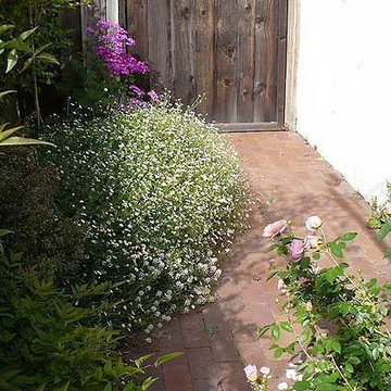 Side Yards