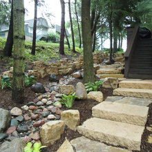 Shed and path