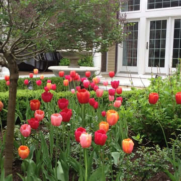 Spring Bulb Designs