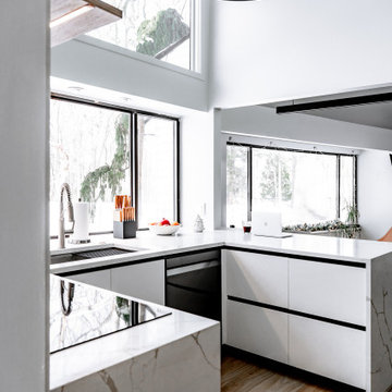 Swedish-Style Kitchen in Michigan