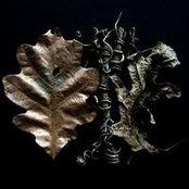 Sky Hiatt's photo