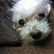 Doris Gaschler's photo