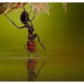 Sunil Kumar Jangids foto