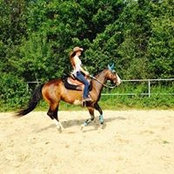 Meaghan Tremblay's photo