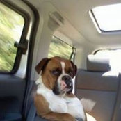 Gary Jasek's photo