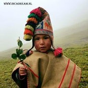 Alpaca Peru's photo