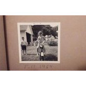 Sue Urbanek's photo
