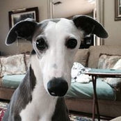 Jennifer Strachan's photo