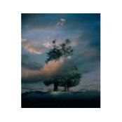 Eric Magallon's photo
