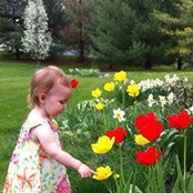 Ted Strand's photo