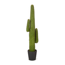 Déco