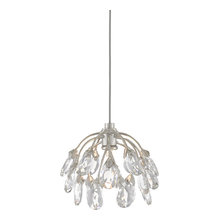 Ceiling Kitchen Lights