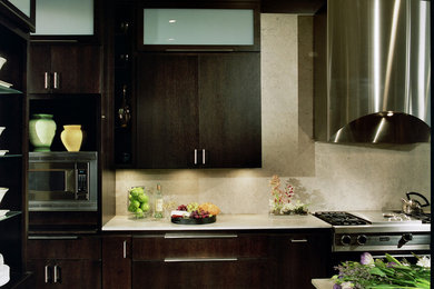 Inspiration for a contemporary kitchen remodel in Chicago