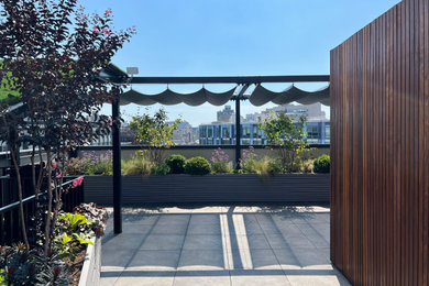На фото: большой солнечный участок и сад на крыше в стиле модернизм с растениями в контейнерах, хорошей освещенностью и с деревянным забором