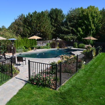 Family Pool-Eagle