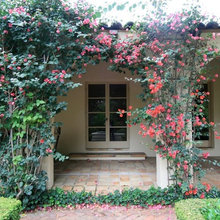 Small House Stone Wall