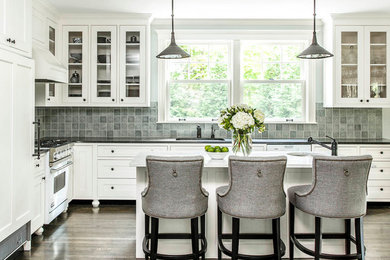 Kitchen - transitional kitchen idea in Boston
