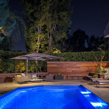 Iridescent Glass Tile Pool, Spa, Hardscape & Planting