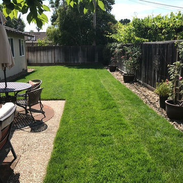 Drought Tolerant Landscape "Zero Scape"
