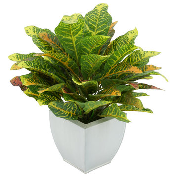 Faux Croton Houseplant in Tapered Zinc Pot, Cream