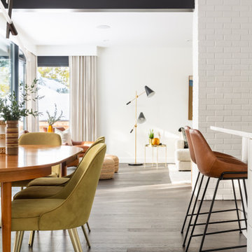 Mid-Century House - Rebuild