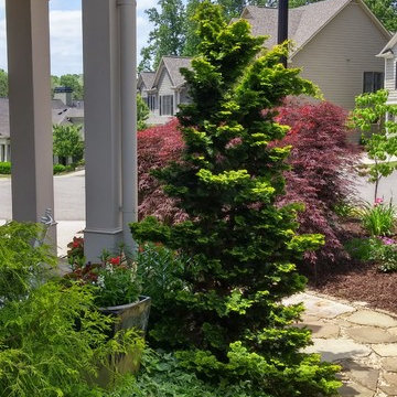 Majors Mill Crossing Subdivision