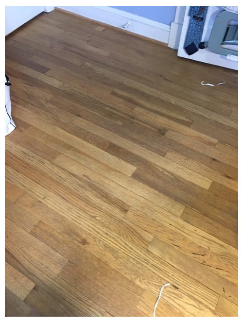 Floor Finish Bona Mega Vs Emulsions, Bona Hardwood Floor Refinishing