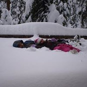 Ryan Cole's photo