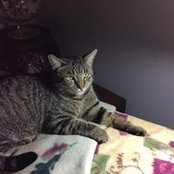 Ruth DeHart's photo