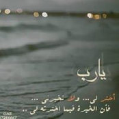 Eman El-Mogy's photo