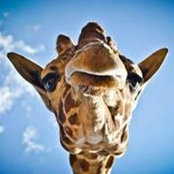 Jen Here's photo