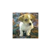 Tanya Hardin's photo