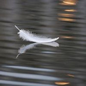 Foto von Wendy Scheer