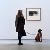 Jolly Teitelbaum's photo