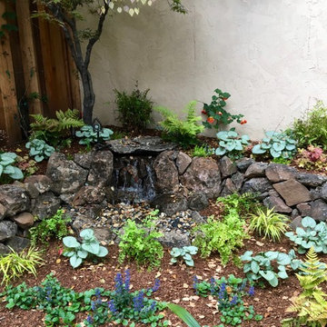 Water Features