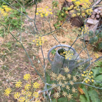 Jardin expérimental (en cours)