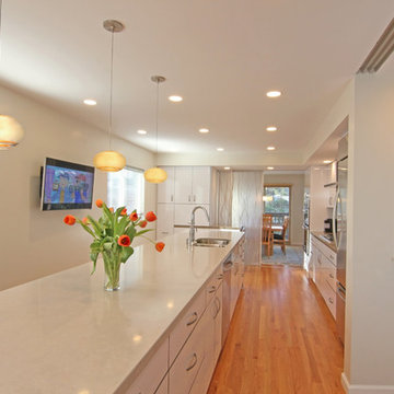 San Francisco Modern Bath Addition and Kitchen Remodel
