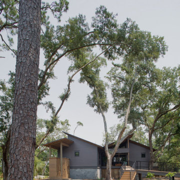 Stansell Dogtrot