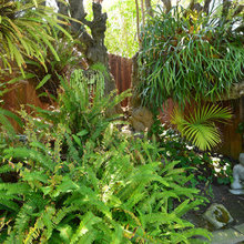 Bahia Casares Garden Design