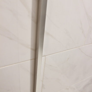 Clean and Contemporary Guest Bath in Westchase